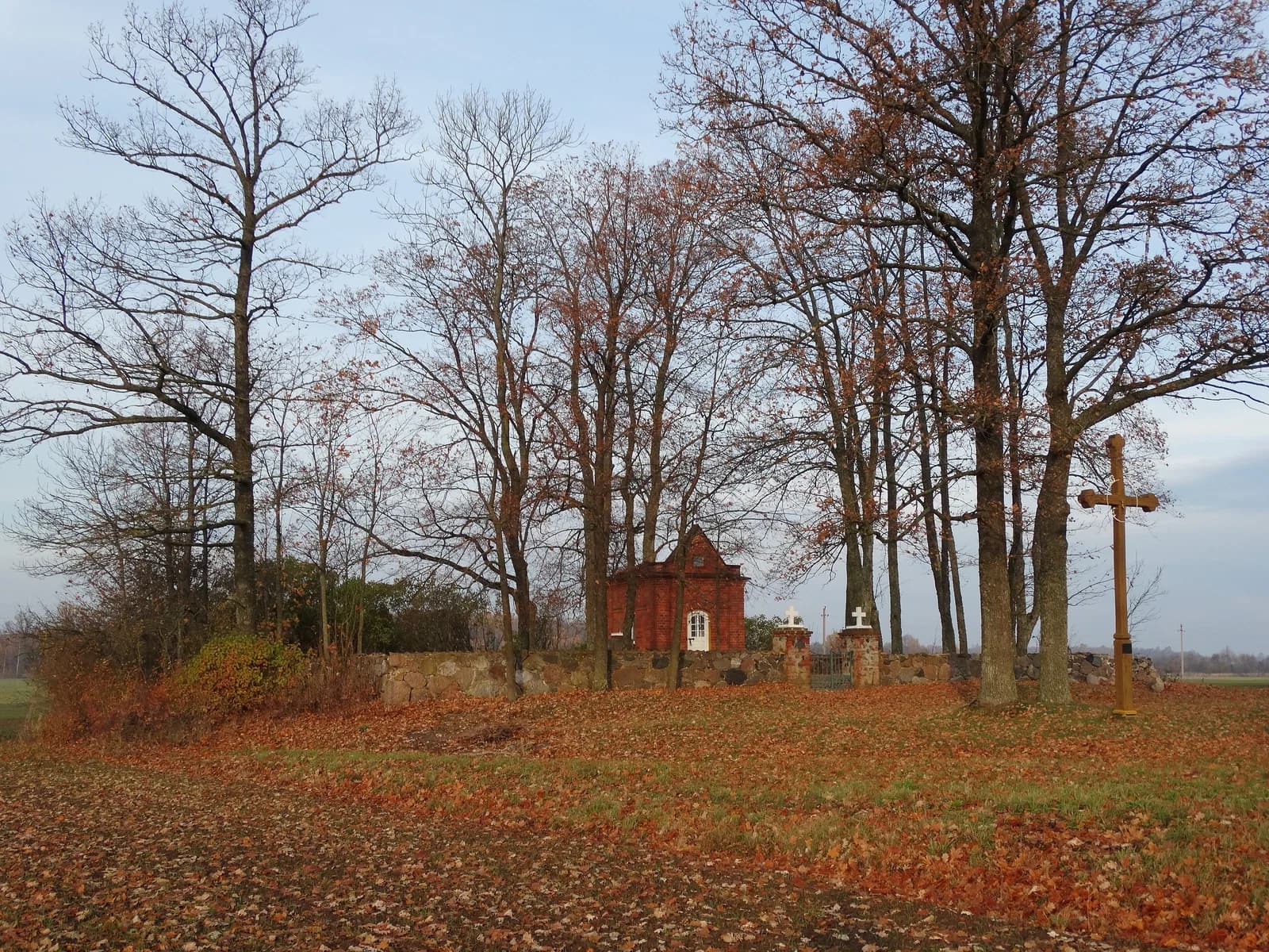 Pazūkai