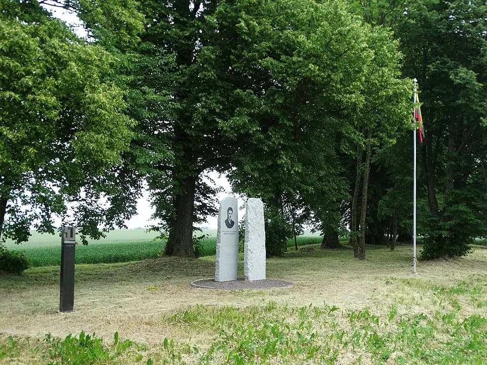 Pikžirniai