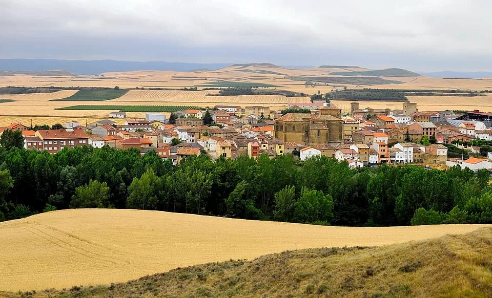 Leiva