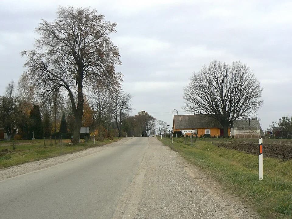 Ruponiai