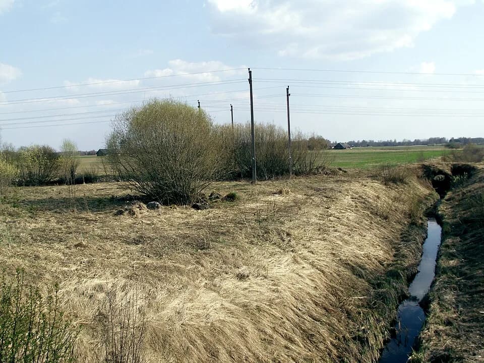 Stačkūnai