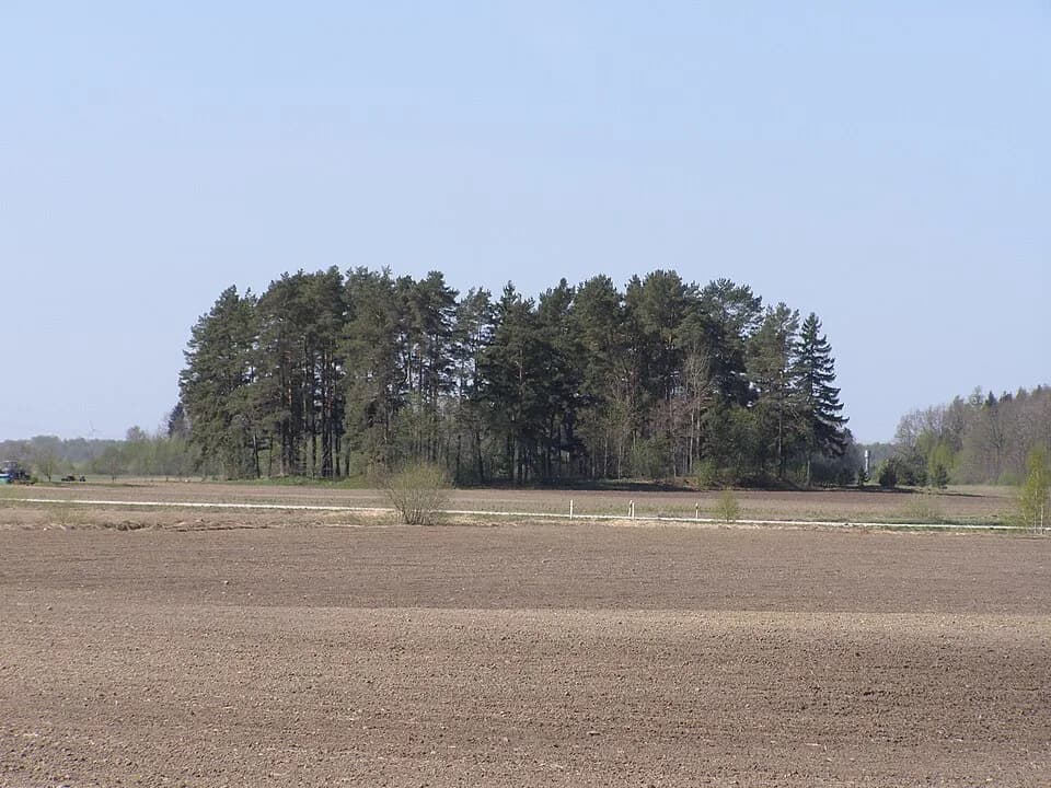 Voveraičiai