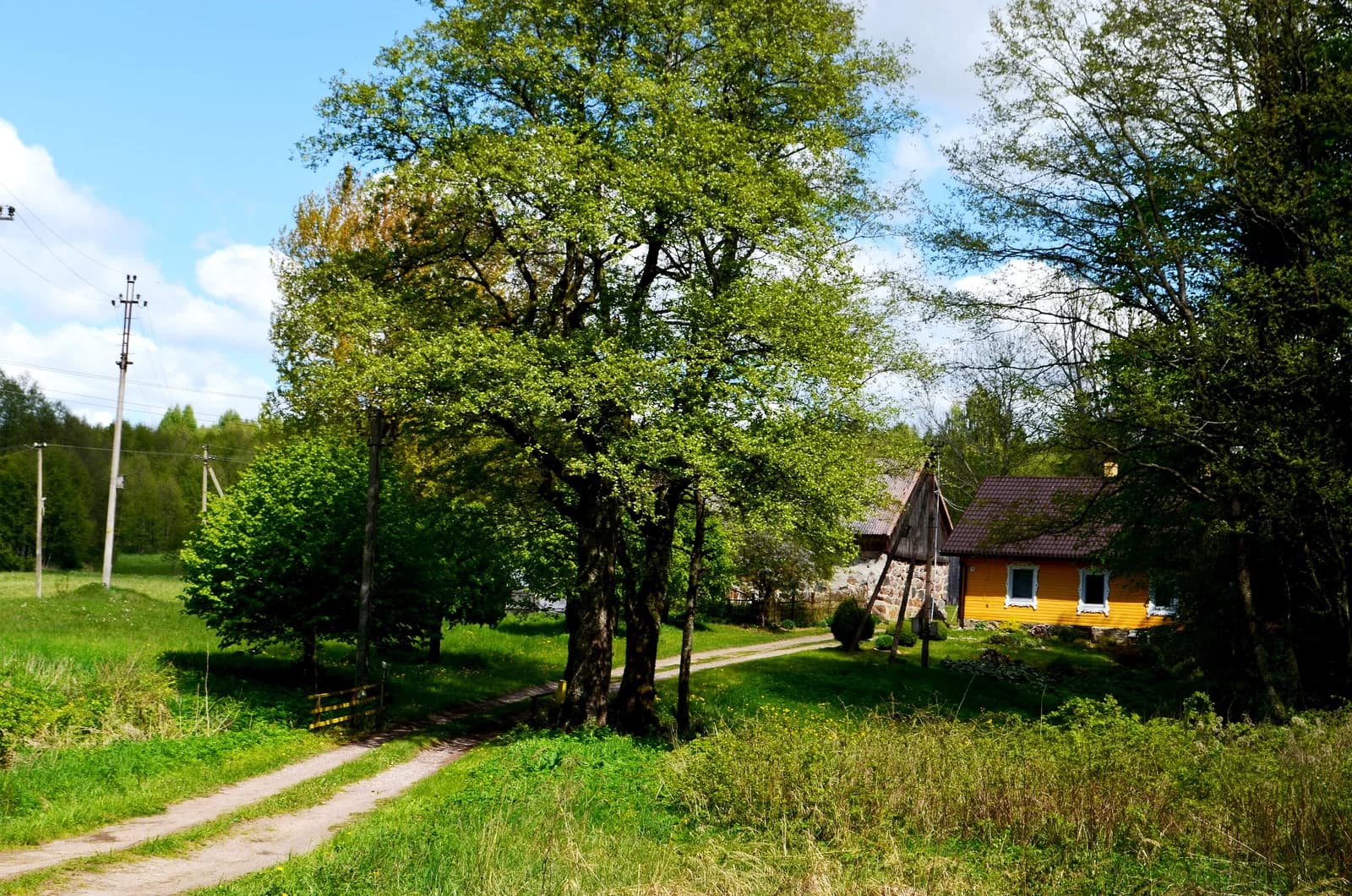 Čižiškiai