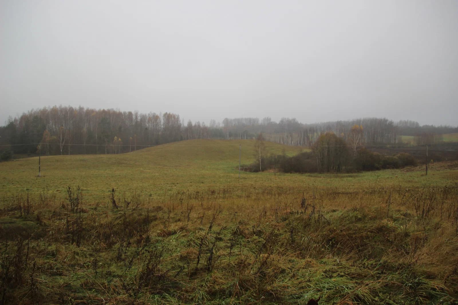 Šiukščiai