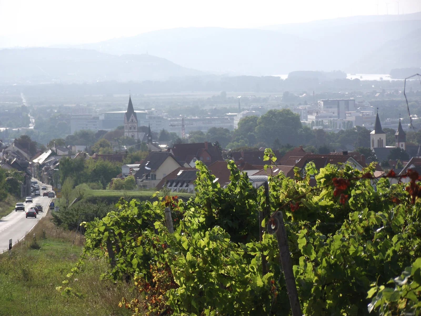 Nieder-Ingelheim