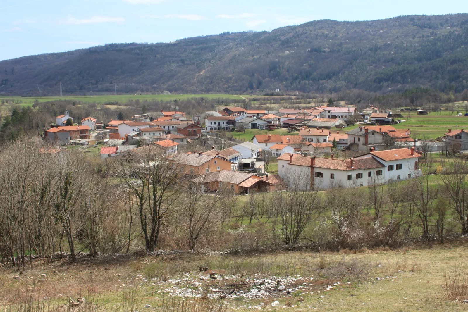 Škoflje