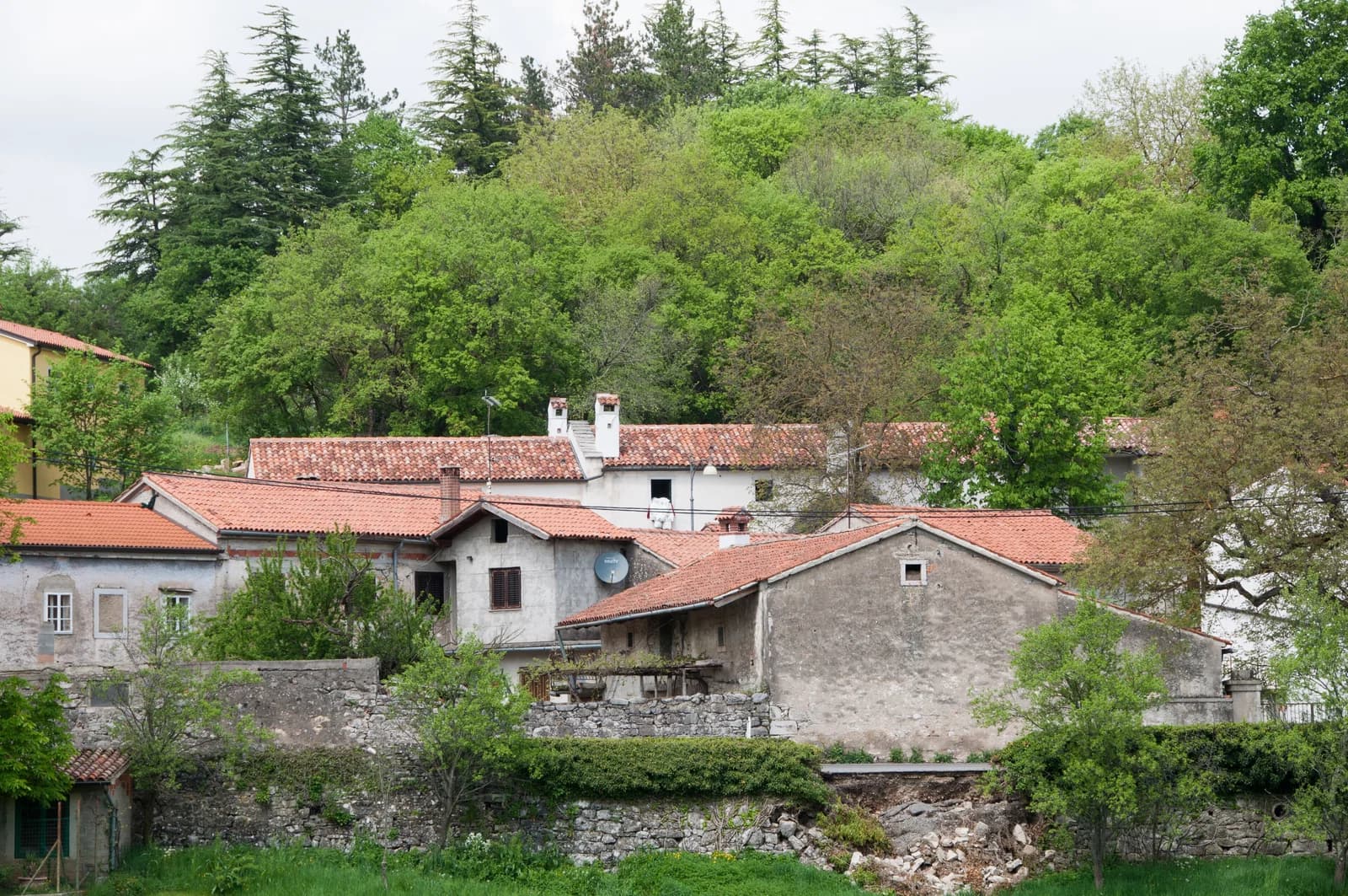Matavun