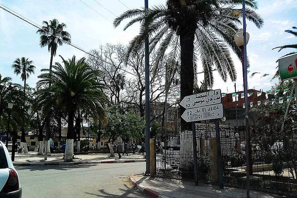 Chébli