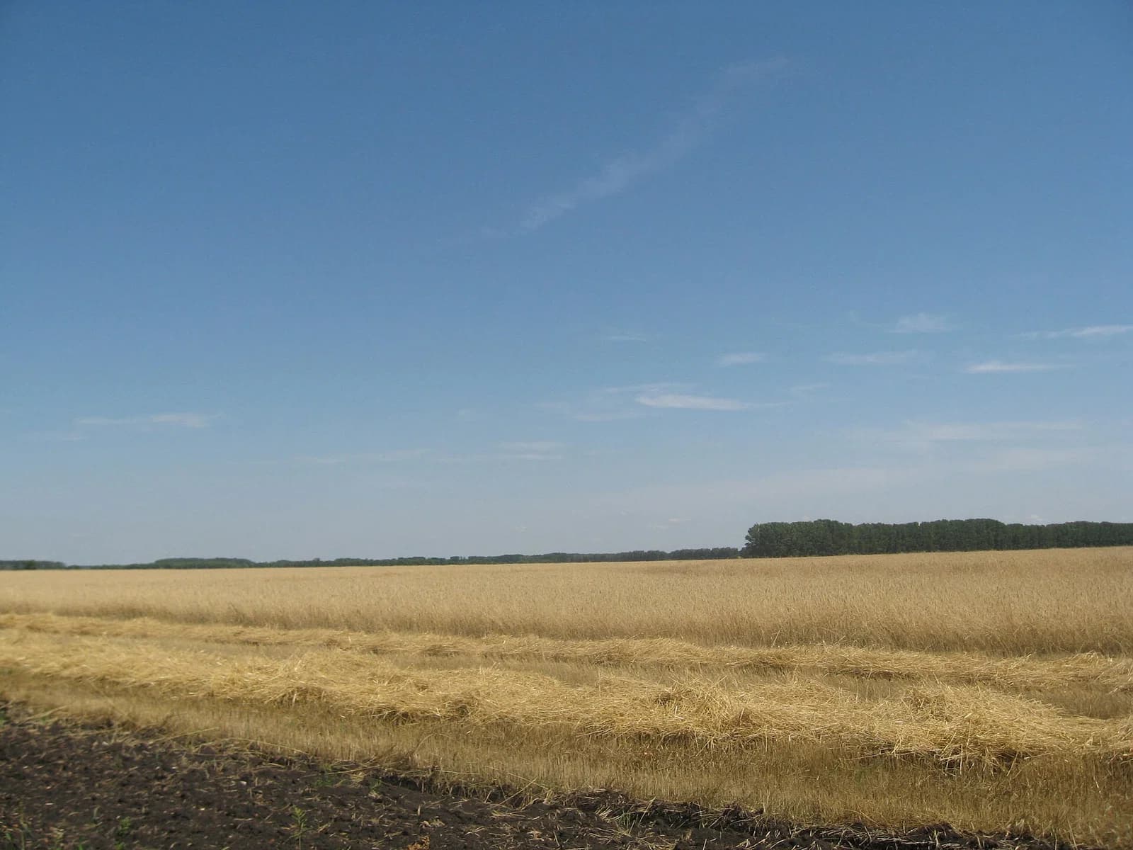 Anninsky District