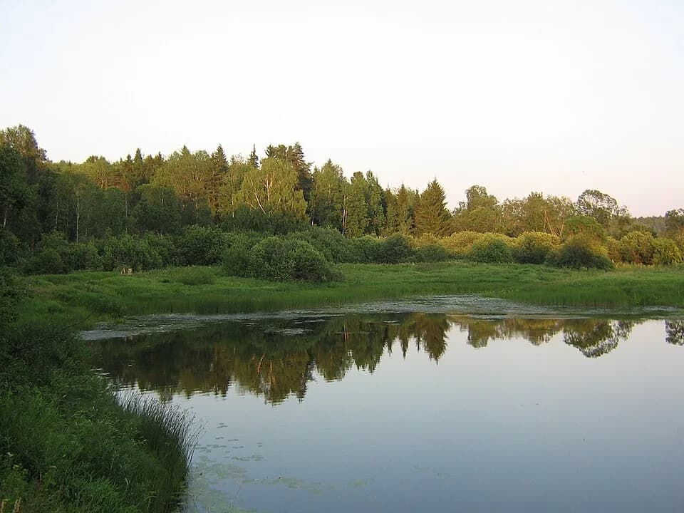 Buysky District
