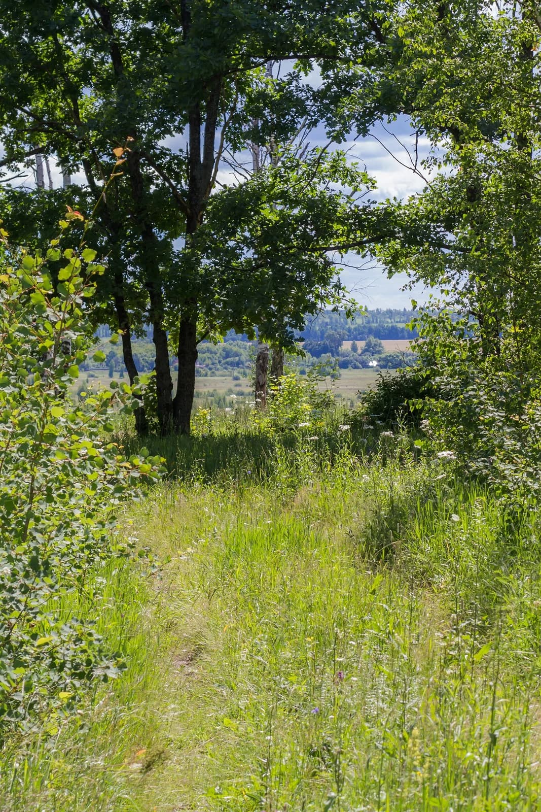 Tschutschkowski rajon