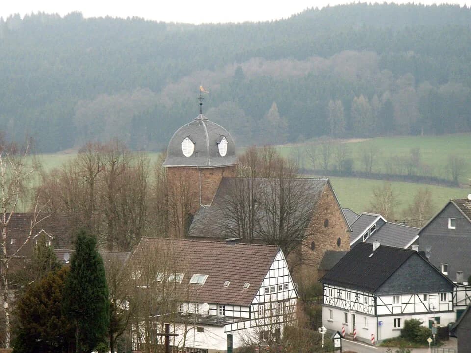 Hülsenbusch