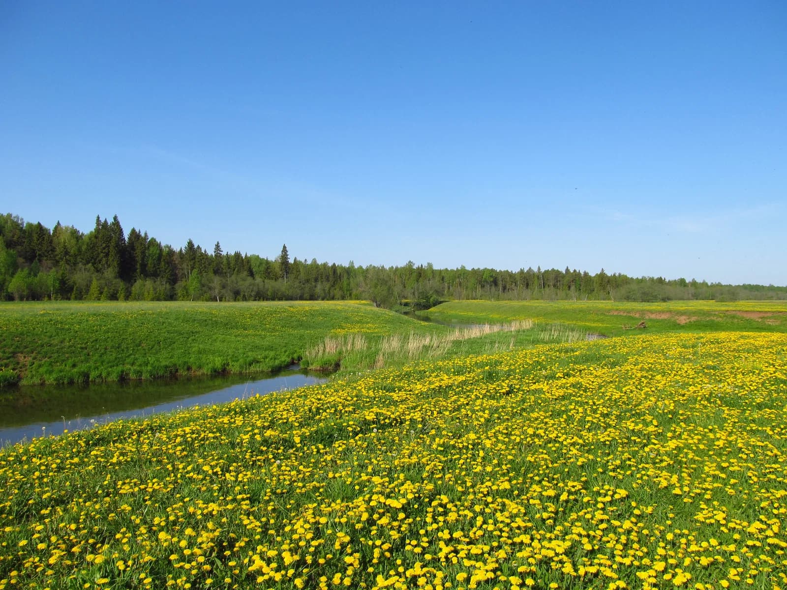 Kumyonsky District