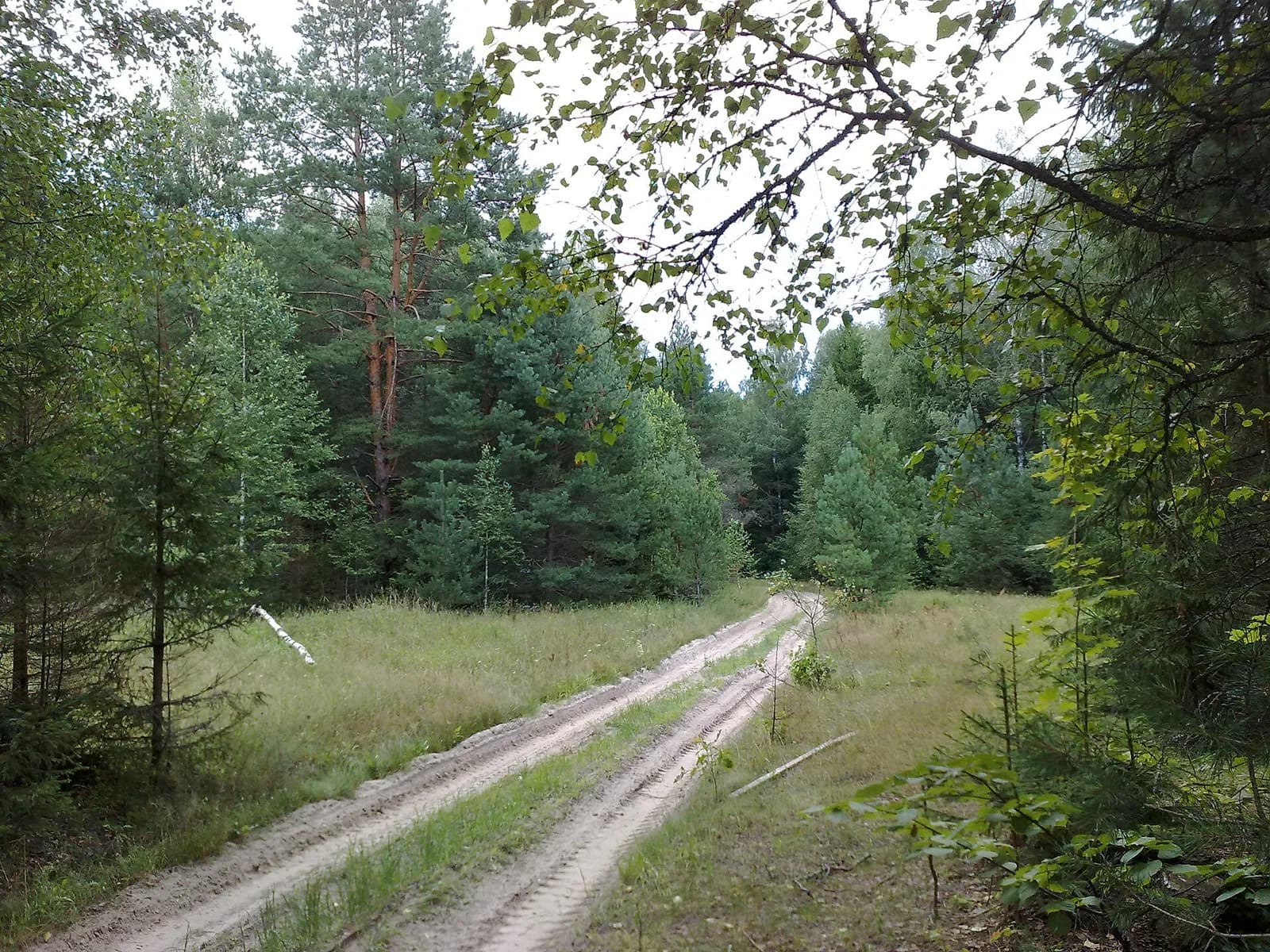 Chwastowitschski rajon