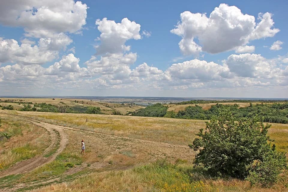 Kalachyovsky District
