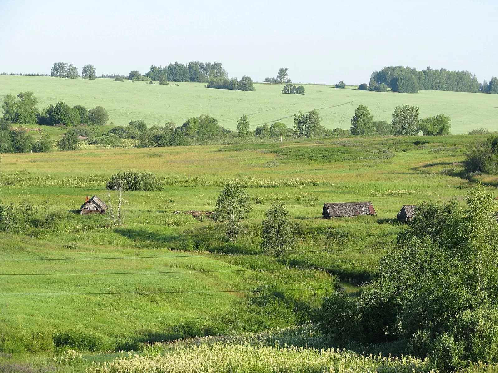 Koltschuginski rajon