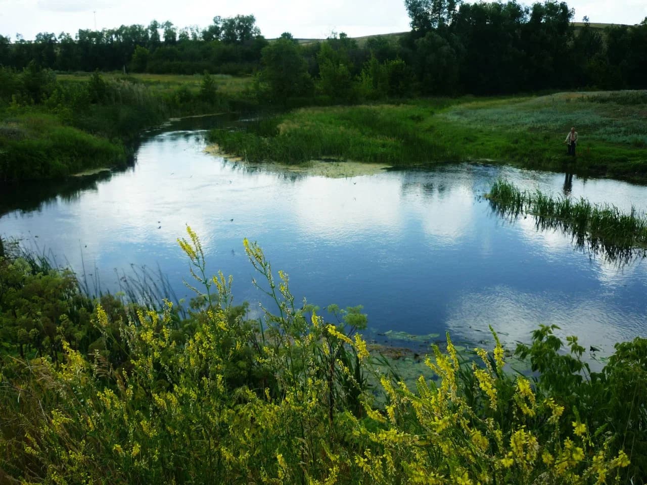 Ternovsky District
