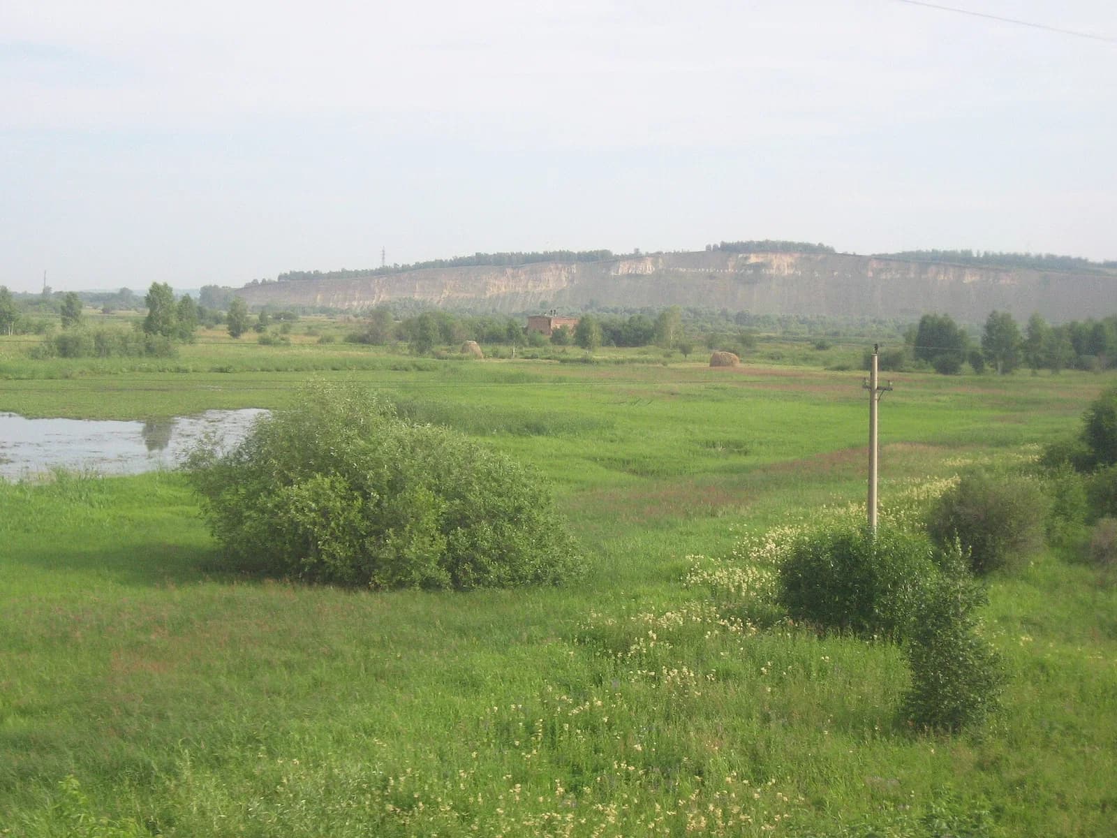 Tjaschinski rajon