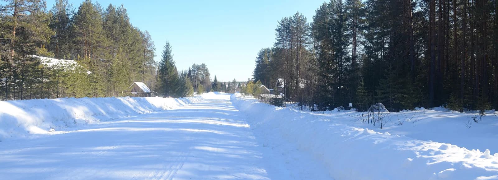 Vokhomsky District
