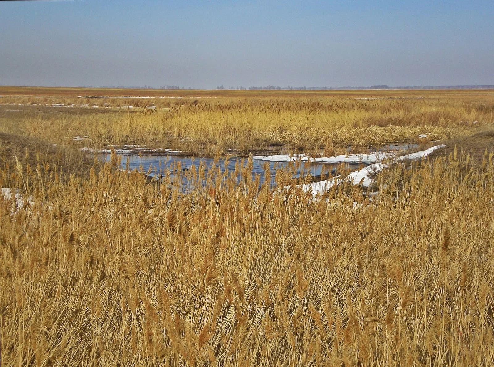 Varnensky District