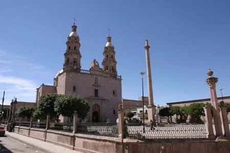 San Miguel el Alto Municipality