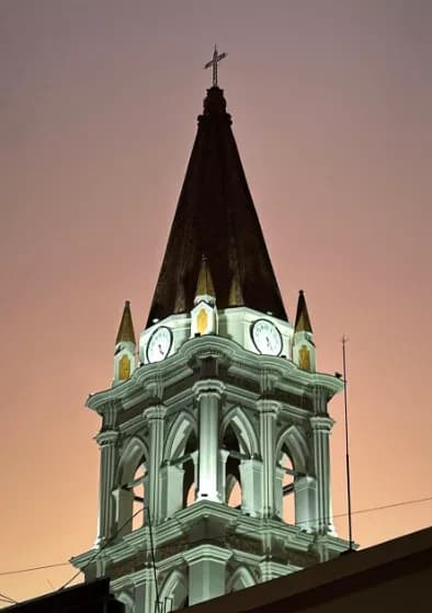 Ahualulco de Mercado Municipality