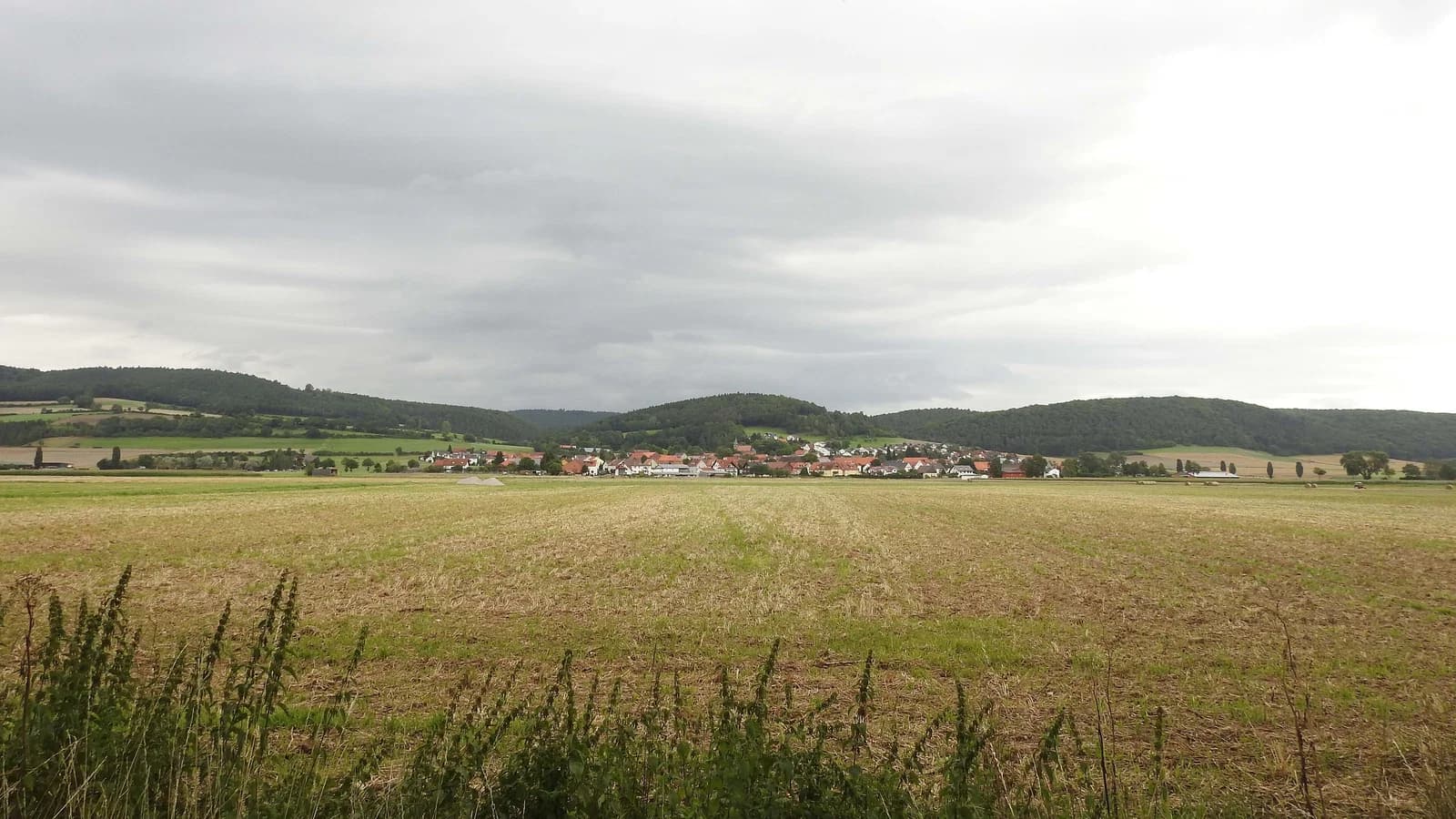 Wellen