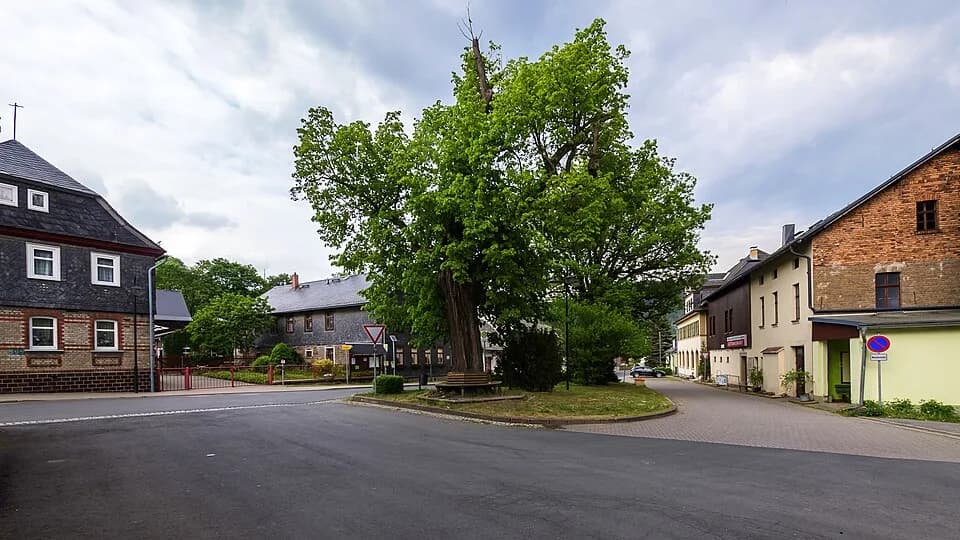 Marktgölitz