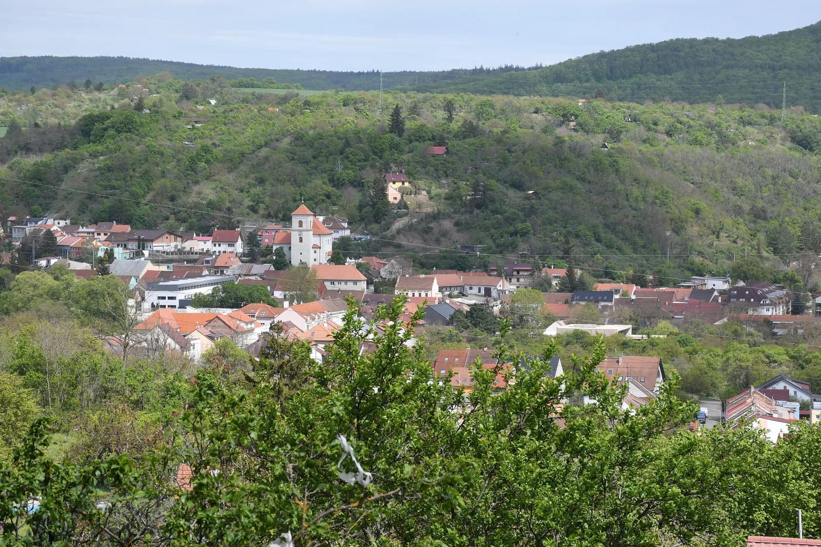 Obřany