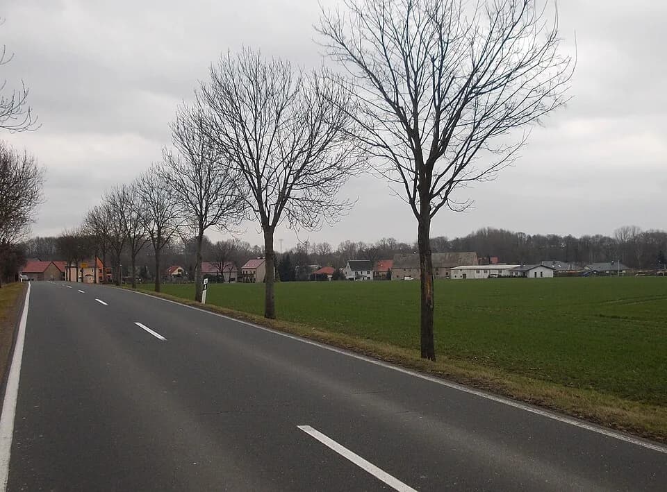 Saalhausen