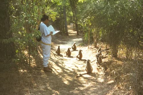 Primatologe