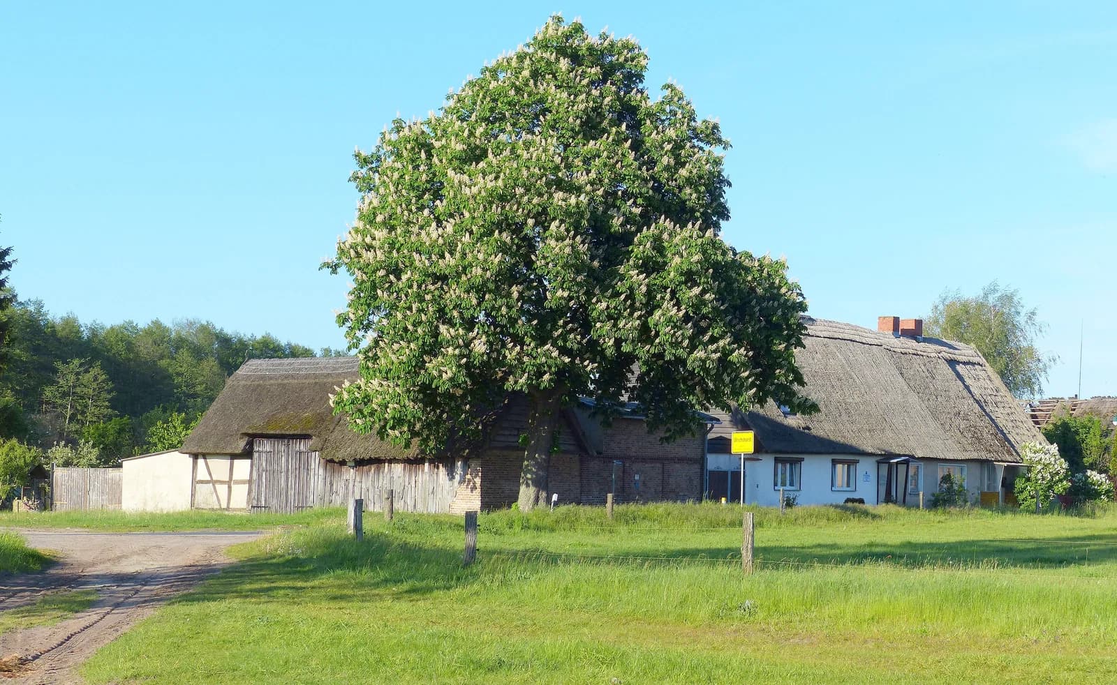 Ulrichshorst