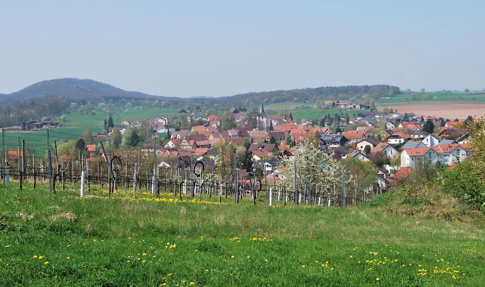 Diefenbach