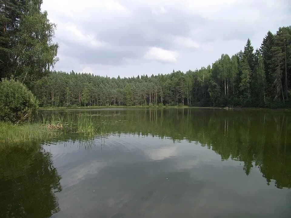 Jõuga