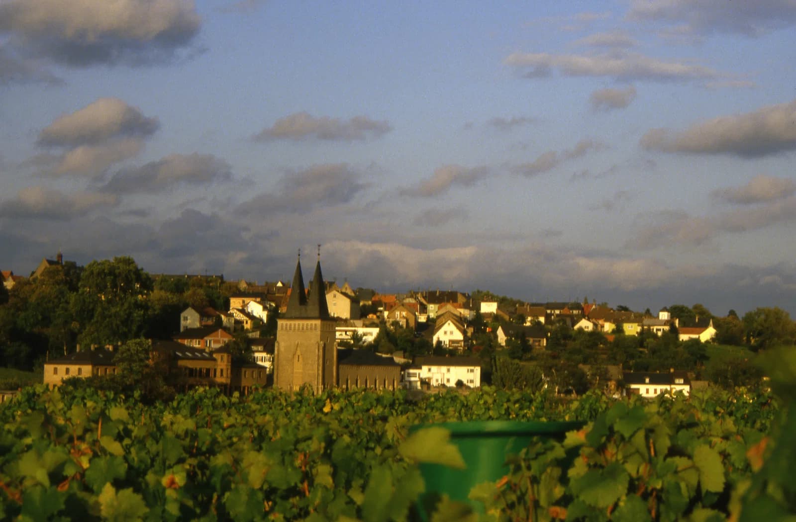 Johannisberg