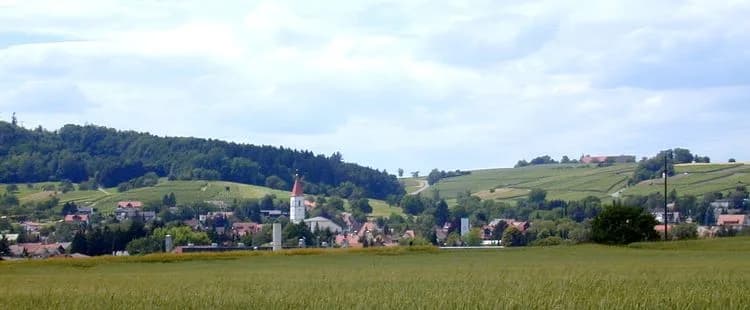 Erzingen