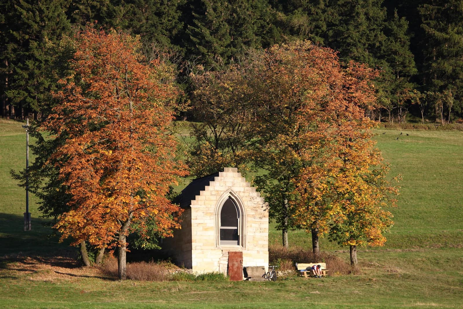 Limbach