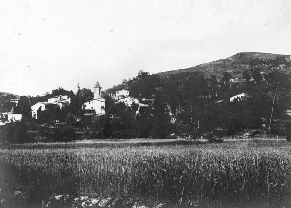 La Pinya
