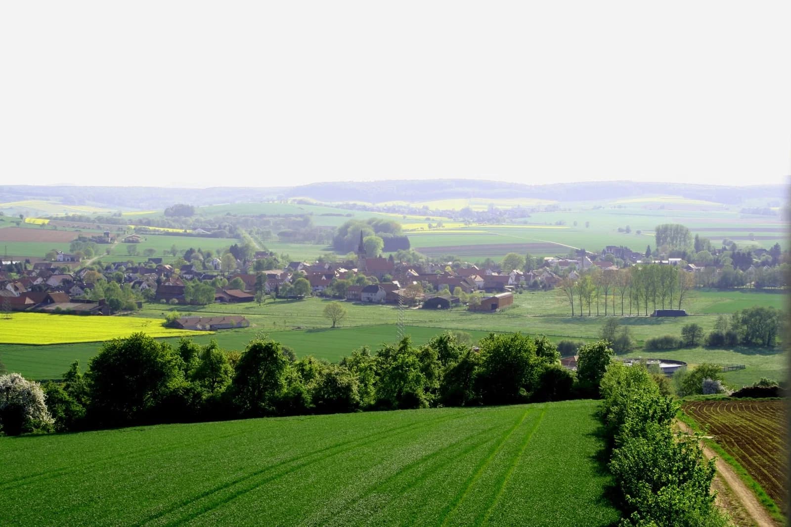 Westerode
