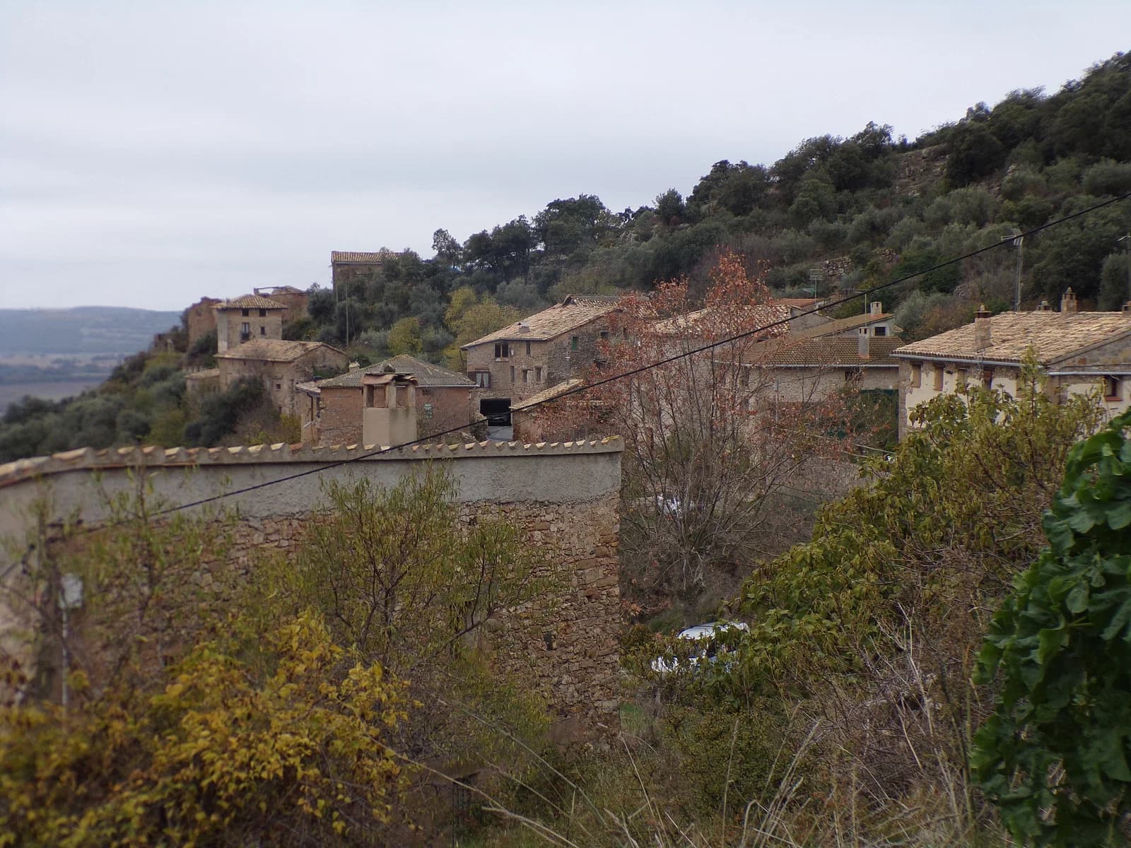 Purroy de la Solana