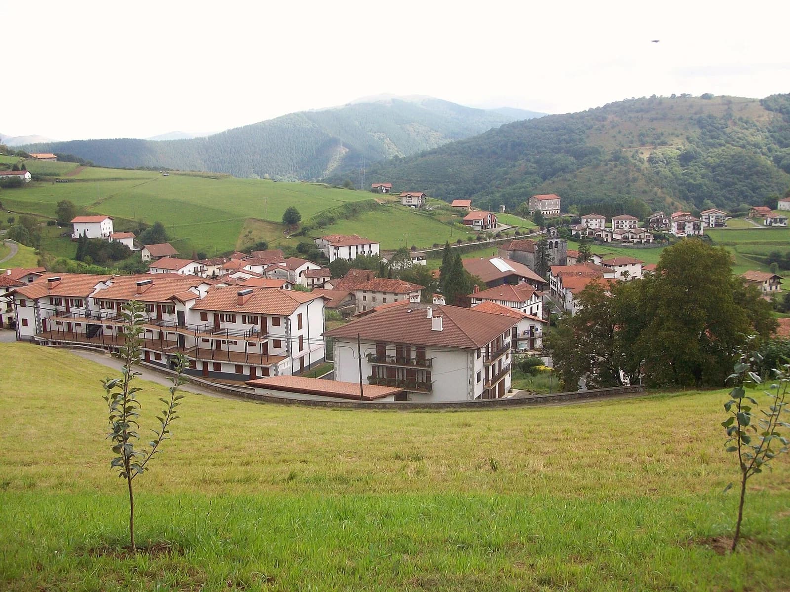 Igantzi