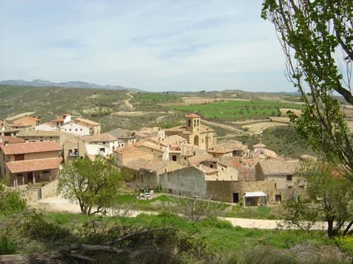 Bargota