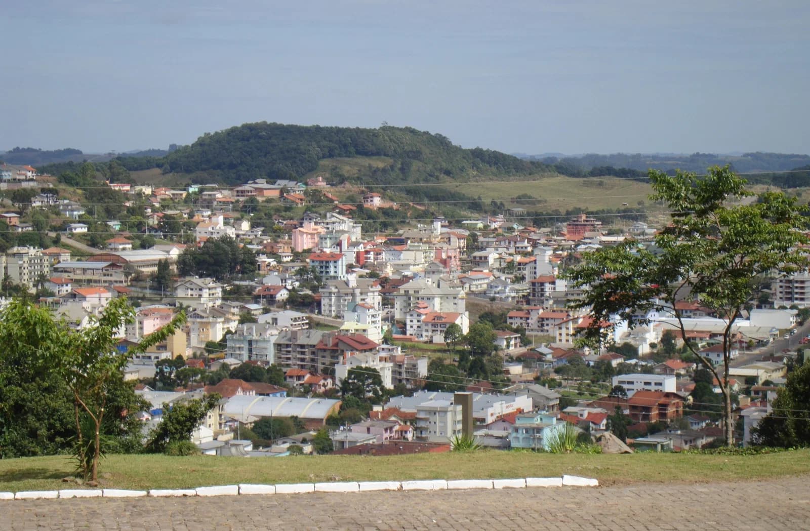 Flores da Cunha
