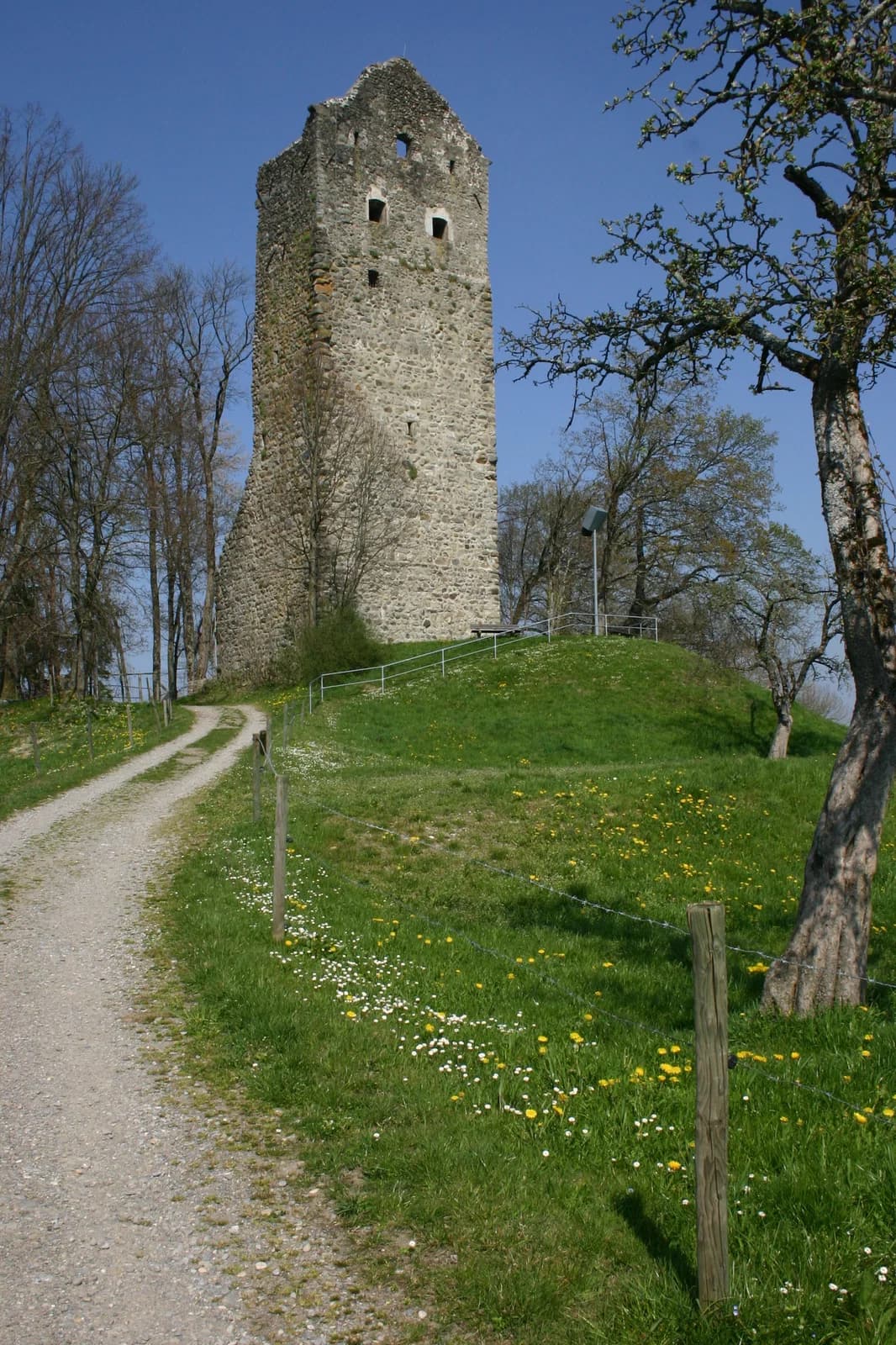 Neuravensburg