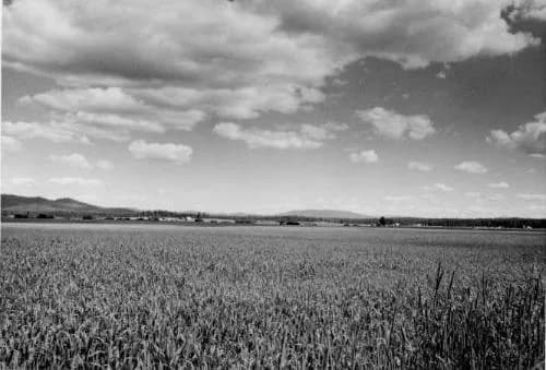 Clearwater County