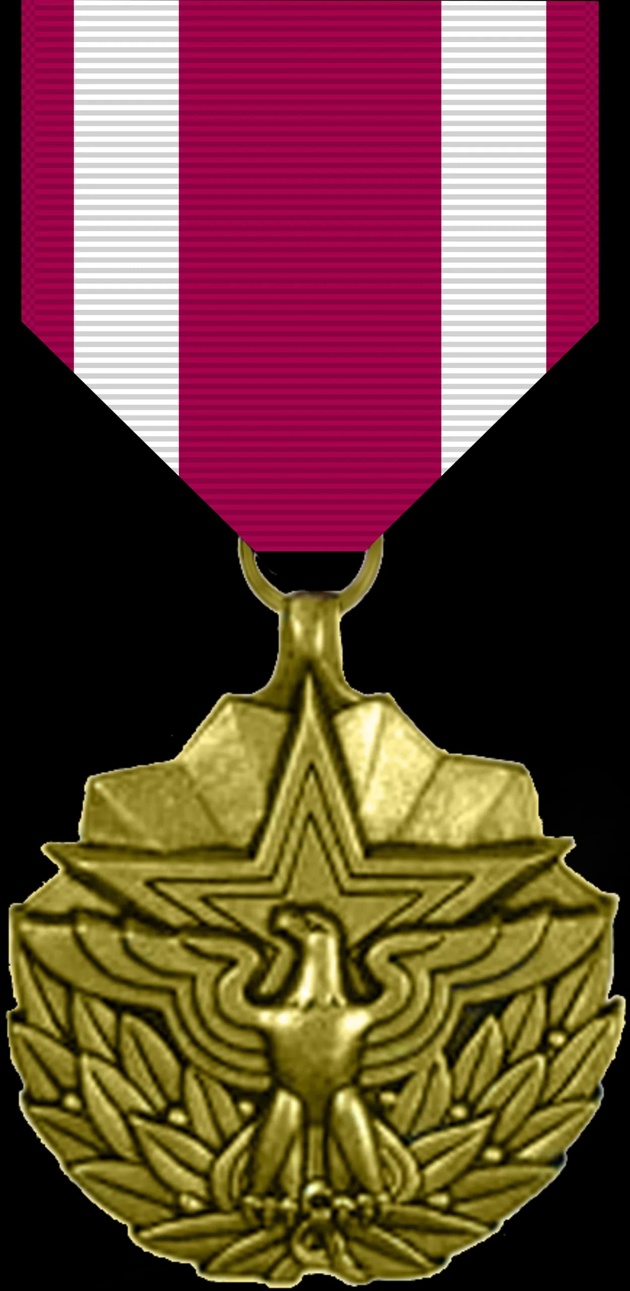 Meritorious Service Medal