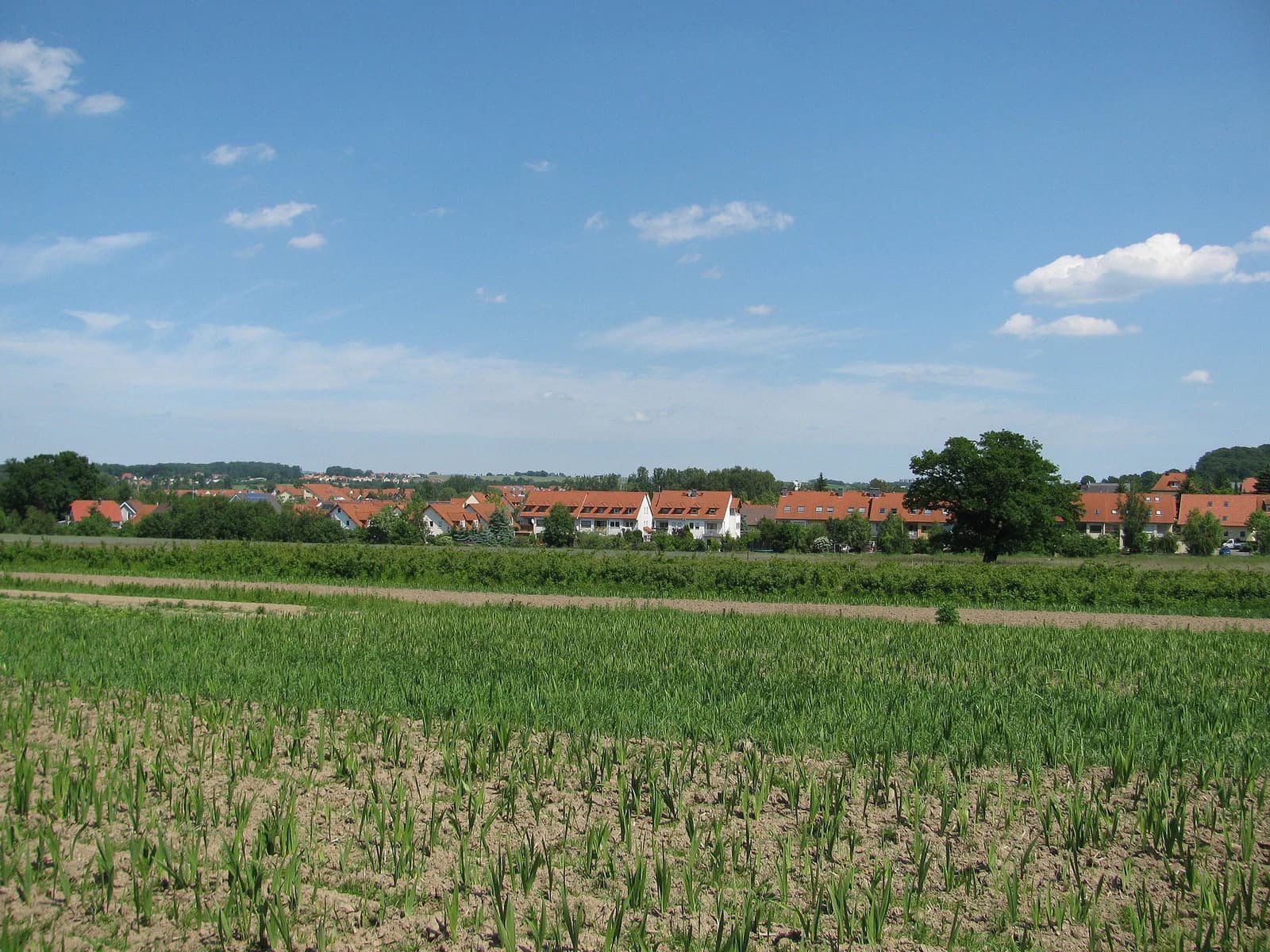 Weißig