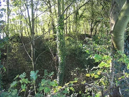 Ongar Castle