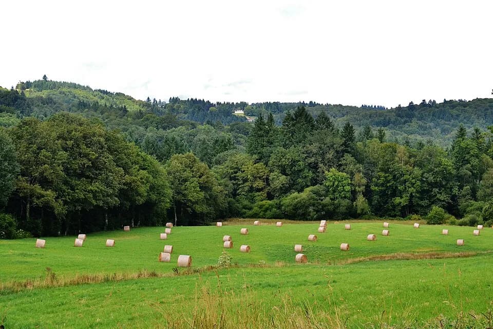 Bonnac-la-Côte