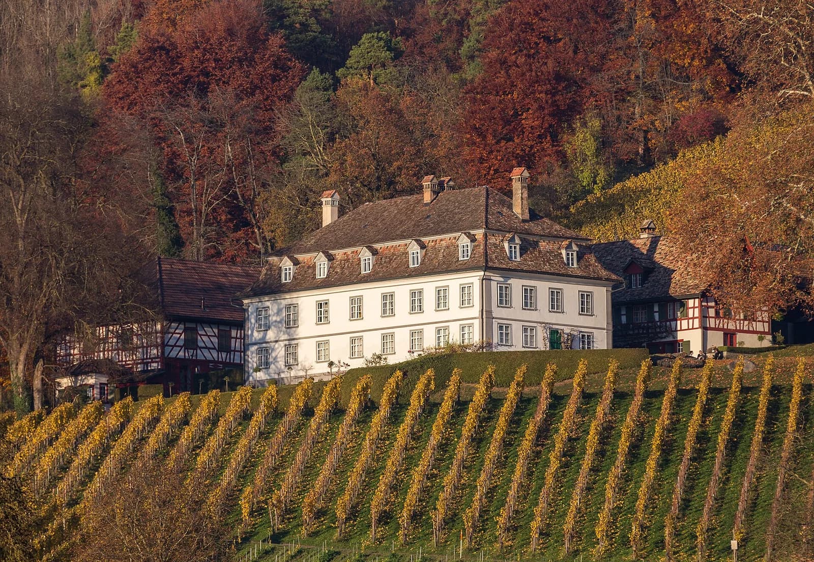Bachtobel Castle